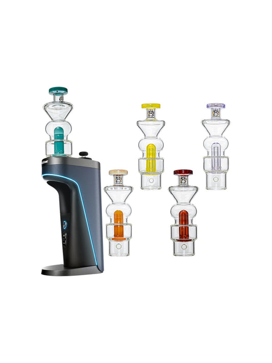 SWT021 CALIBEAR SWITCH 2 ATTACHMENT ASSORTED COLOR