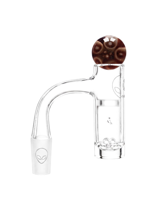 PLQB8 PLUTO'S PROXIMA QUARTZ BANGER